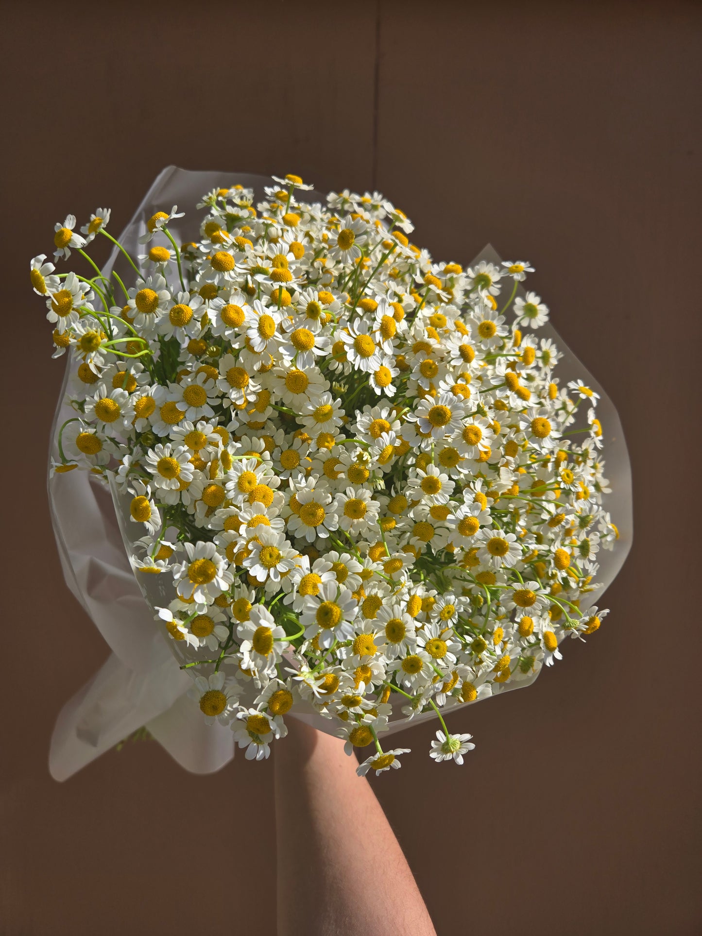No. 30 Honey Chamomile Meadow