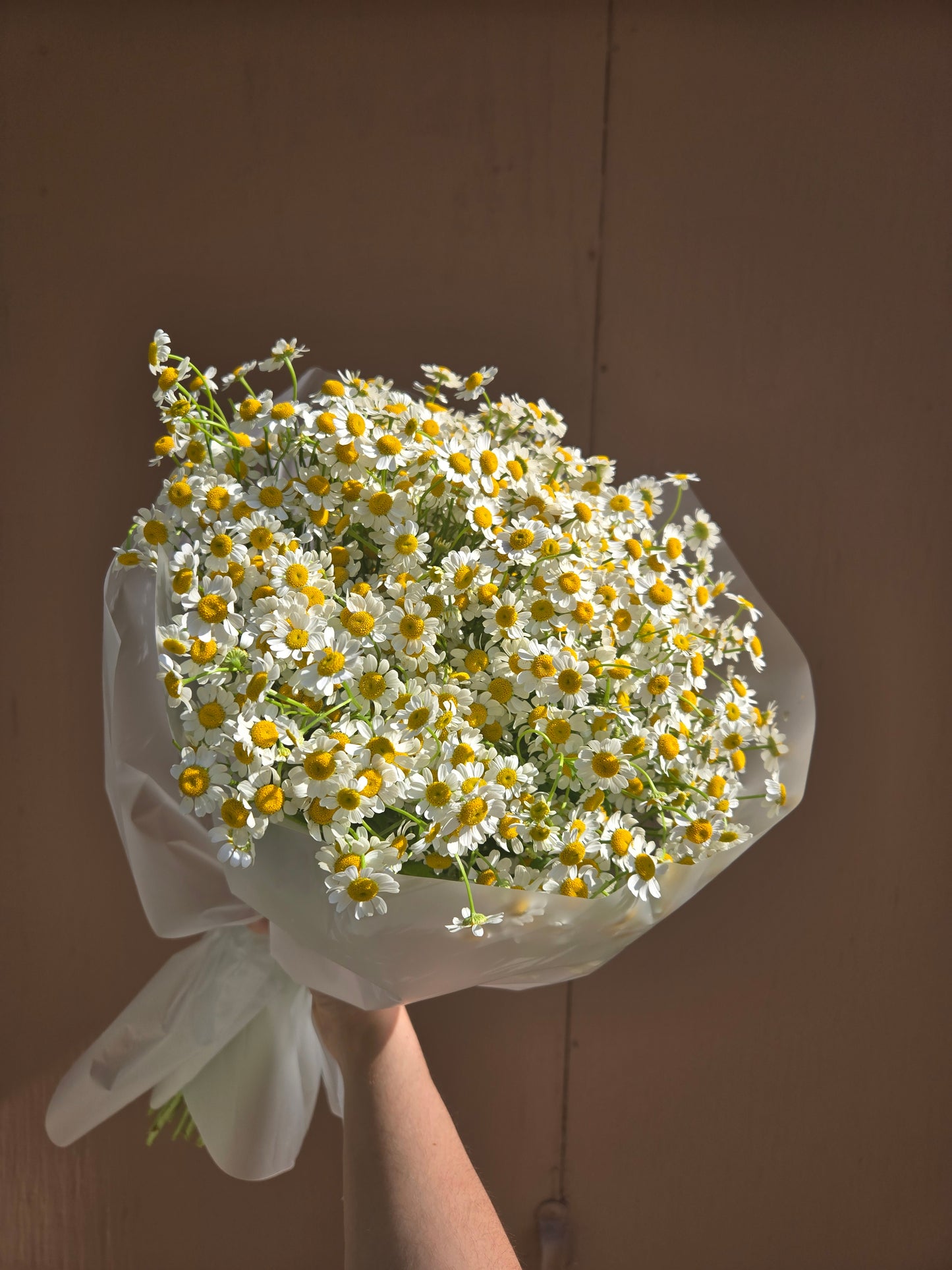 No. 30 Honey Chamomile Meadow