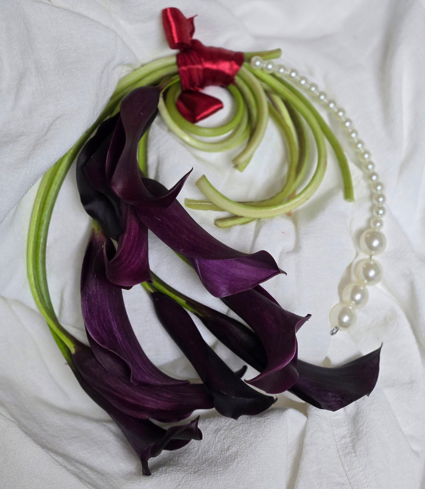 No. 22 Burgundy Calla