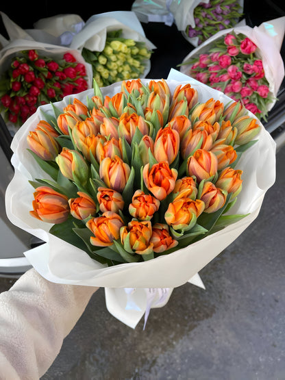 No. 13 Tulip Dream