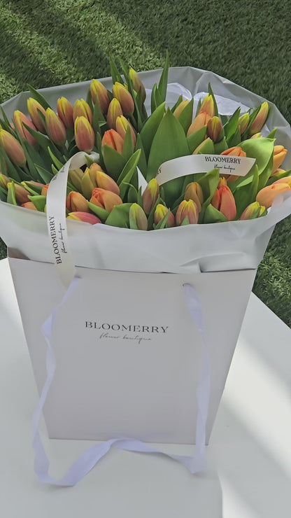 No. 13 Tulip Dream