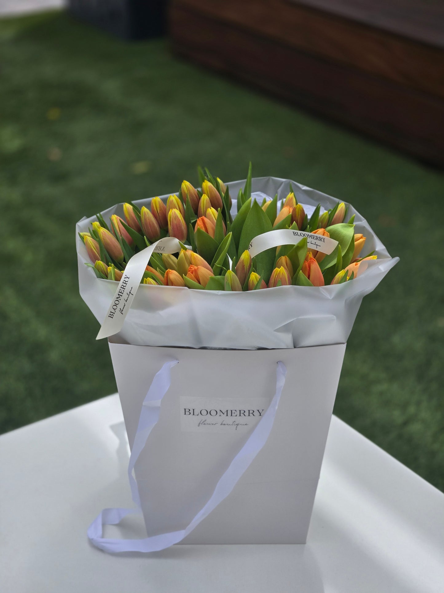 No. 13 Tulip Dream