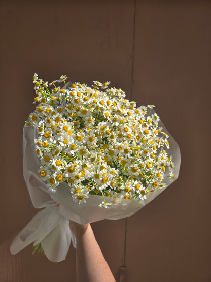 No. 30 Honey Chamomile Meadow